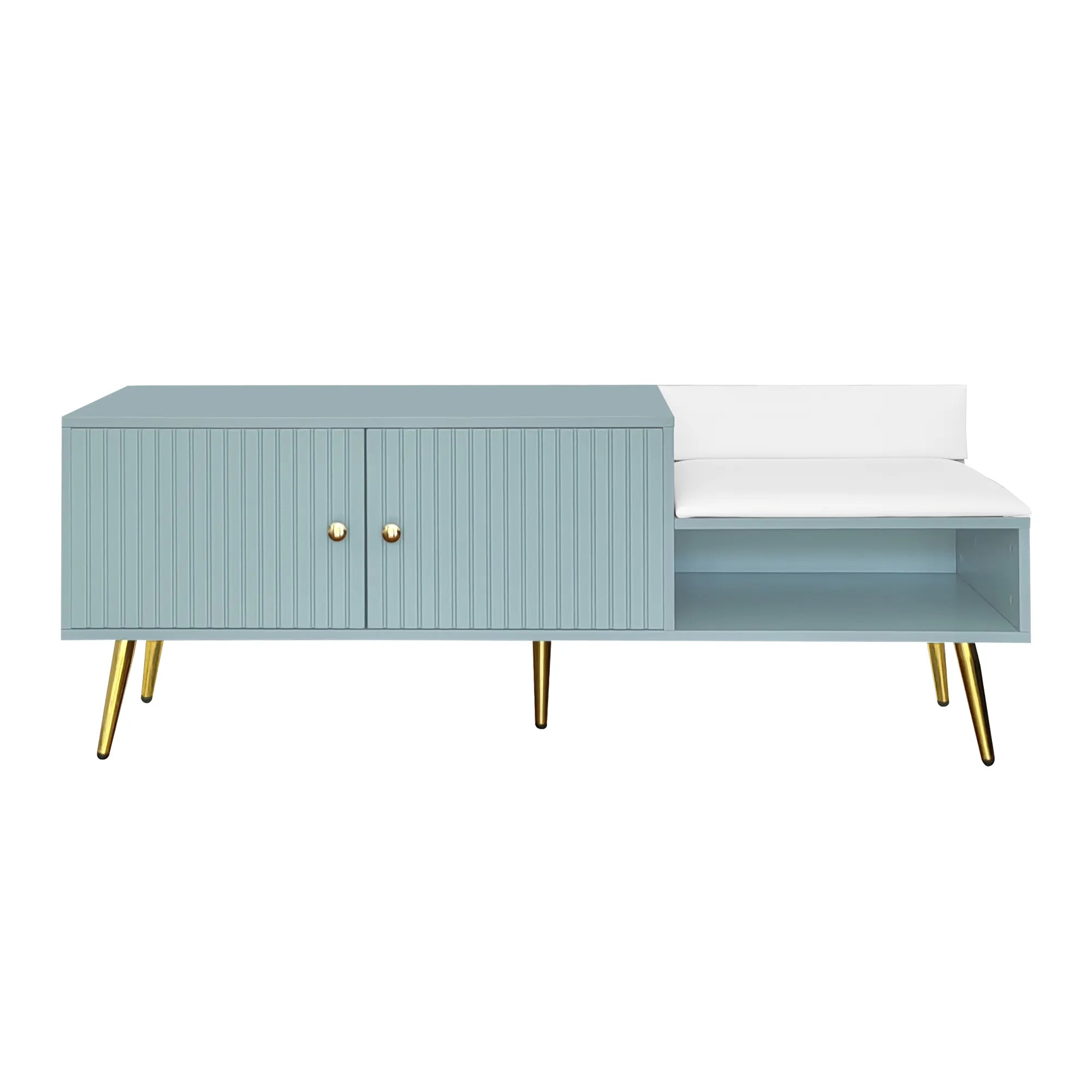 Modern Shoe Storage Entryway Bench with Upholstered Cushion
