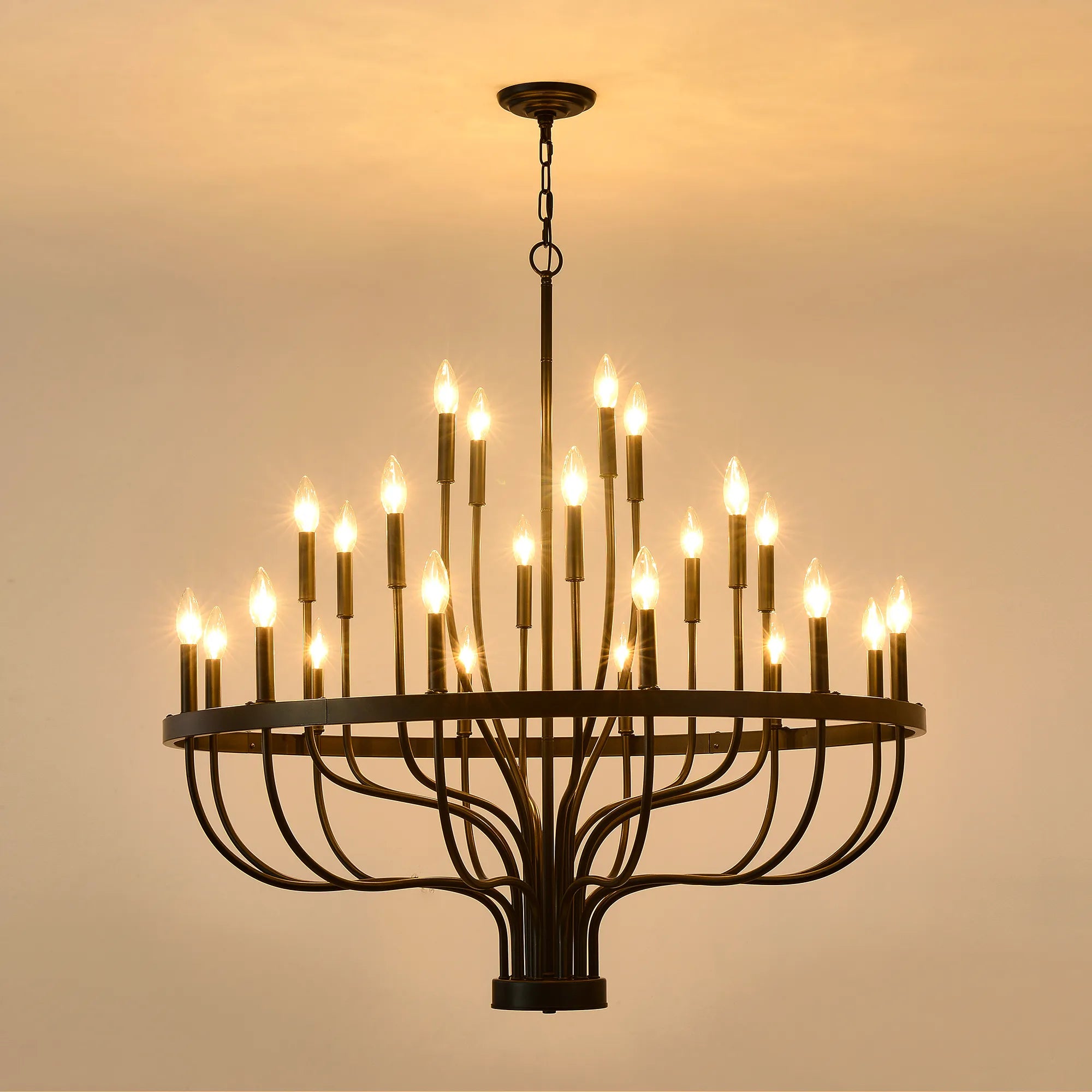24-Light Farmhouse Black Chandelier