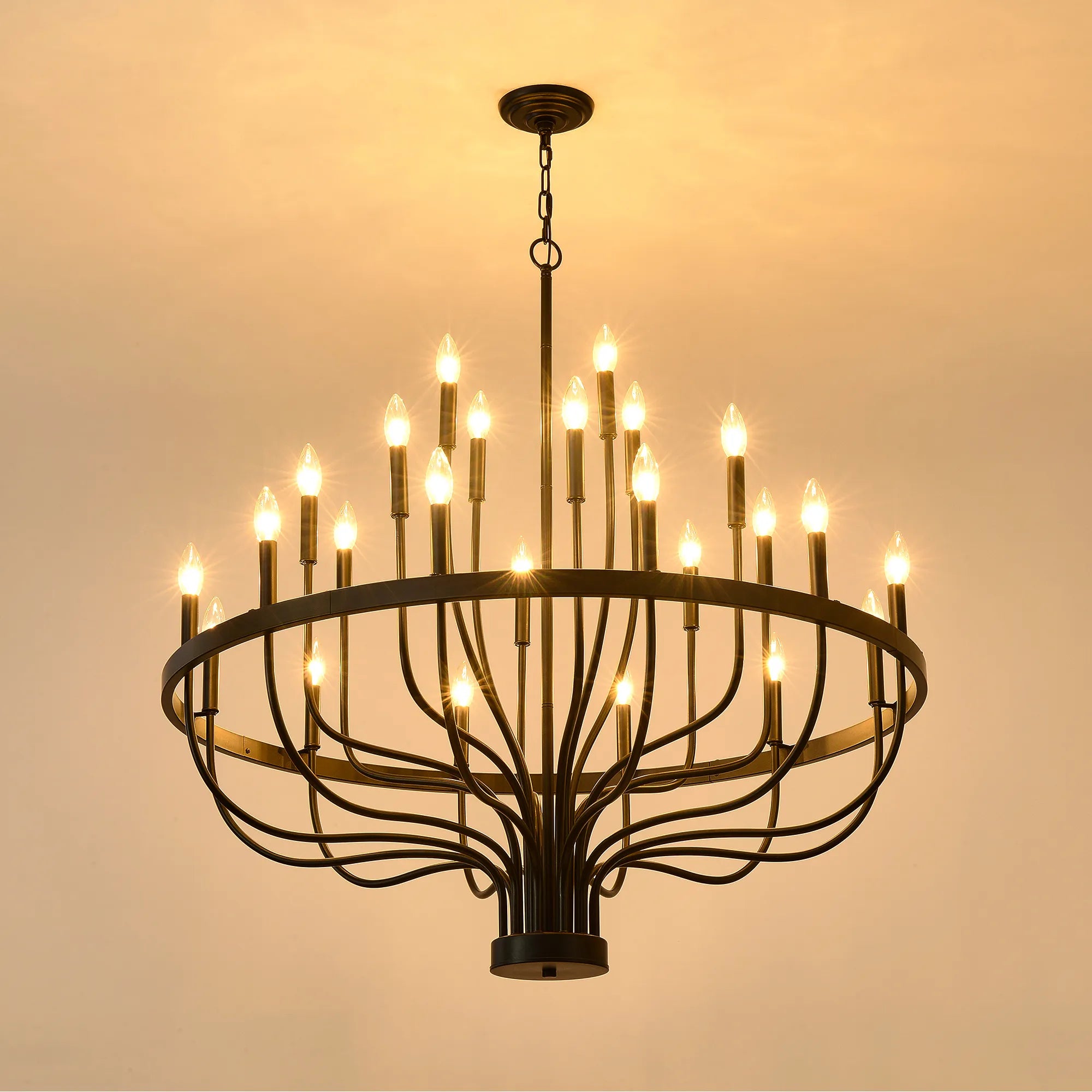 24-Light Farmhouse Black Chandelier