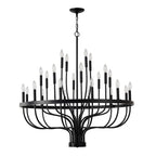 24-Light Farmhouse Black Chandelier