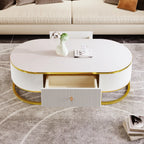 47" Modern Oval Coffee Table with Drawers