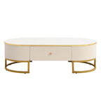 47" Modern Oval Coffee Table with Drawers