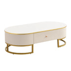 47" Modern Oval Coffee Table with Drawers