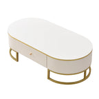 47" Modern Oval Coffee Table with Drawers