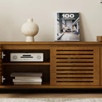 Mid-Century Modern TV Stand with Storage & Adjustable Panel