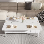 Modern Lift-Top Coffee Table, with Foldable Top