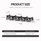 Modern Matte Black Bathroom Vanity Light with Clear Glass Shades