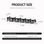 Modern Matte Black Bathroom Vanity Light with Clear Glass Shades