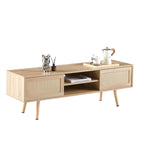 Rattan Modern TV Stand with Sliding Doors