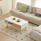 Rattan Modern Coffee Table with Sliding Door