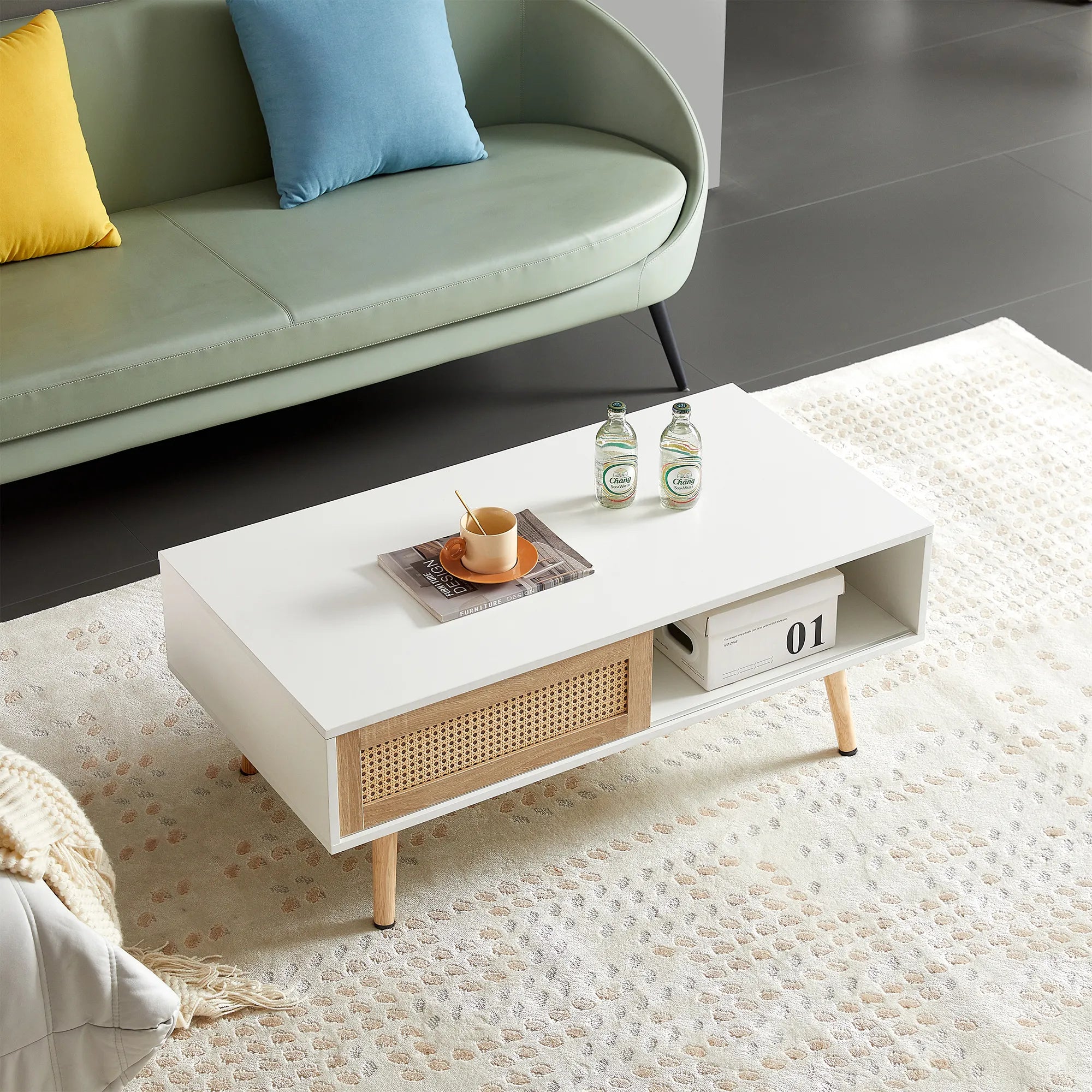 Rattan Modern Coffee Table with Sliding Door