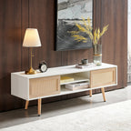 Rattan Modern TV Stand with Sliding Doors