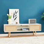 Rattan Modern TV Stand with Sliding Doors