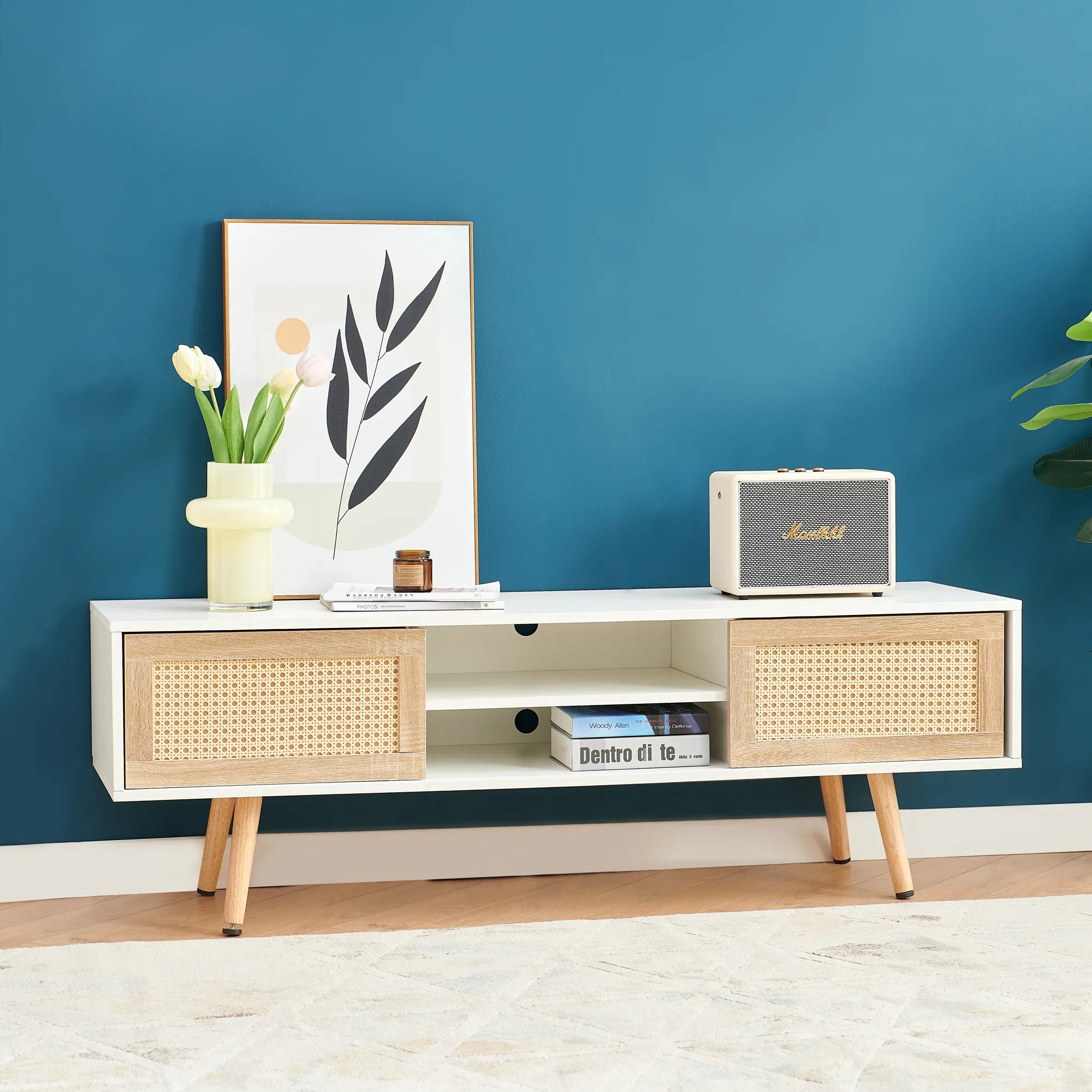 Rattan Modern TV Stand with Sliding Doors