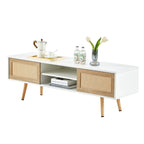 Rattan Modern TV Stand with Sliding Doors