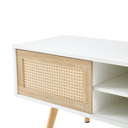 Rattan Modern TV Stand with Sliding Doors